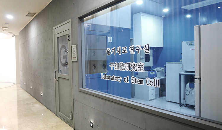 Glovi Plastic Surgery, Reviews, Images, Promotions, Dr. Rho Bongil, Dr. Nam Sangjae, Dr. Park Jongchul — Korea cost, reviews & before-after | MISOODA