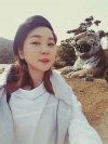 Ar + Zy + T / long hair + forehead / sil + epi + Rhino — Korea cost, reviews & before-after | MISOODA