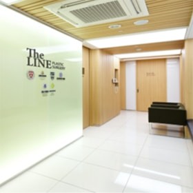 Theline Plastic Surgery,Reviews,Images, Promotions — Korea cost, reviews & before-after | MISOODA